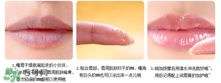 愛麗小屋唇部磨砂膏怎么樣？愛麗小屋唇部磨砂膏和悅詩風(fēng)吟哪個好？