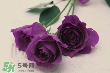 4月份適合種什么花？四月份種什么花好？