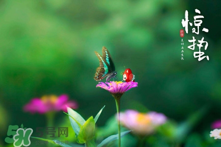 驚蟄節(jié)氣吃什么水果？驚蟄養(yǎng)生吃什么水果好？