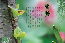 驚蟄節(jié)氣吃什么水果？驚蟄養(yǎng)生吃什么水果好？