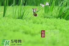 驚蟄如何養(yǎng)生？驚蟄前后如何養(yǎng)生？
