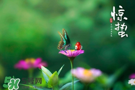 驚蟄如何養(yǎng)生？驚蟄前后如何養(yǎng)生？