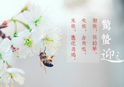 驚蟄怎么打小人？驚蟄如何打小人？