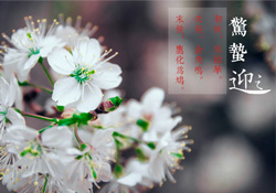 驚蟄為何要打小人？驚蟄為什么要打小人？