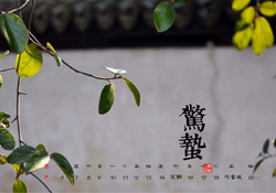驚蟄可以動針線嗎？驚蟄為什么不動針線？