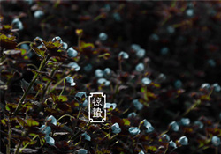 驚蟄節(jié)氣要注意什么？驚蟄節(jié)氣養(yǎng)生注意事項(xiàng)