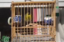 禽流感期間能接觸鳥(niǎo)糞嗎？碰到鳥(niǎo)糞會(huì)得禽流感嗎？
