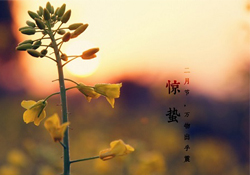 驚蟄能去廟里祈福嗎？驚蟄要去廟里祈福嗎？