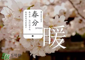 春分種什么菜？春分適合種什么菜？