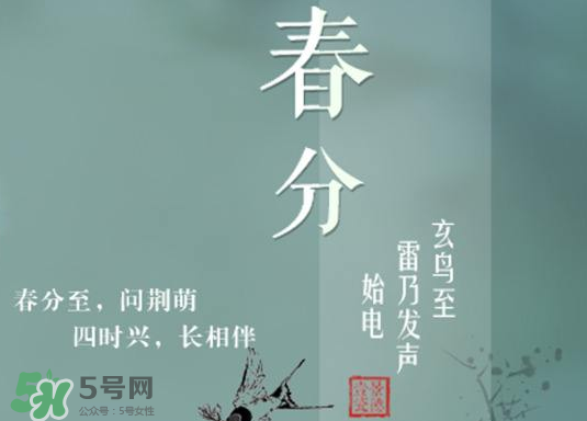 春分種什么菜？春分適合種什么菜？