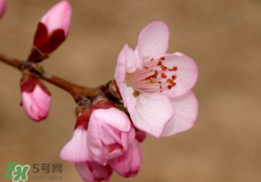 2017年春分是什么時(shí)候？2017年春分是幾月幾號？