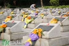 平時可以去掃墓嗎？平?？梢匀ド蠅瀱幔?></p><h3>平?？梢匀ド蠅瀱?/h3><p>平常可以去上墳。祭掃儀式本應親自到塋地去舉行，但由于每家經濟條件和其它條件不一樣，所以祭掃的方式也就有所區(qū)別。“燒包袱”是祭奠祖先的主要形式。所謂“包袱”，亦作“包裹”是指孝屬從陽世寄往“陰間”的郵包。過去，南紙店有賣所謂“包袱皮”，即用白紙糊一大口袋。有兩種形式：一種是用木刻版，把周圍印上梵文音譯的《往生咒》，中間印一蓮座牌位，用來寫上收錢亡人的名諱，如：“已故張府君諱云山老大人”字樣，既是郵包又是牌位。另一種是素包袱皮，不印任何圖案，中間只貼一藍簽，寫上亡人名諱即可。亦做主牌用。關于包袱里的冥錢，種類很多。</p><p style=