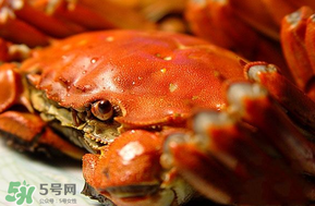 三月份吃什么螃蟹？3月份吃什么螃蟹？