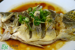 三月份吃什么魚？3月份吃什么魚好？