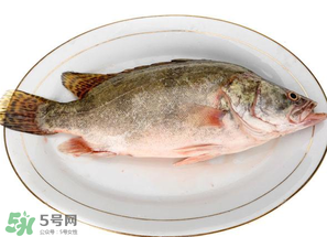 三月份吃什么魚？3月份吃什么魚好？