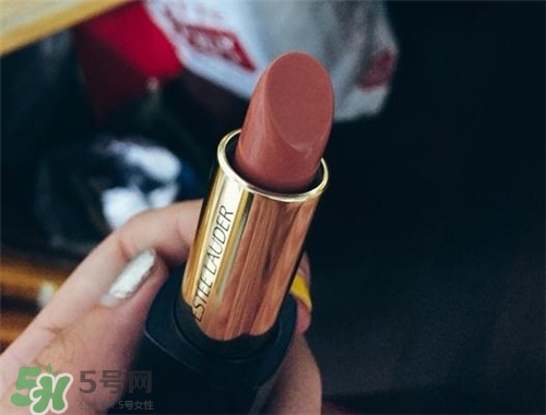 雅詩蘭黛envy110多少錢？雅詩蘭黛傾慕唇膏110價(jià)格