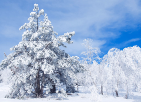 三月份還會下雪嗎？哈爾濱三月份還有雪嗎？