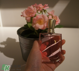 蘭蔻和迪奧香水哪個(gè)好？蘭蔻和迪奧香水推薦