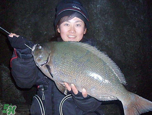 3月份釣魚用什么餌料？三月份釣魚用什么魚餌？