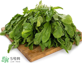 薺菜葉子黃了能吃嗎？薺菜發(fā)黃能吃嗎？