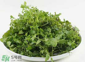 薺菜多少錢一斤？野生薺菜多少錢一斤？
