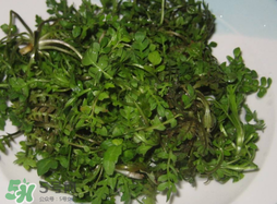 薺菜怎么洗？薺菜怎么洗才干凈？