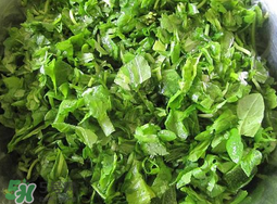 薺菜怎么洗？薺菜怎么洗才干凈？