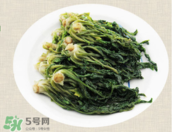 薺菜怎么保存？薺菜可以曬干存放嗎？