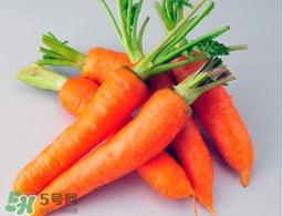 薺菜能和胡蘿卜一起吃嗎？薺菜可以和胡蘿卜一起吃嗎？