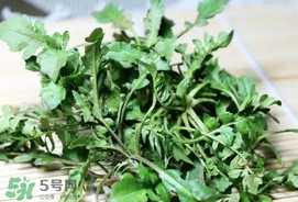 薺菜能和青菜一起吃嗎？薺菜和青菜一起吃好嗎？