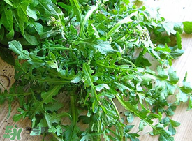 薺菜上有白點(diǎn)能吃嗎？薺菜背面有白點(diǎn)是什么？