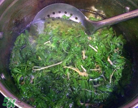 薺菜怎么焯水？薺菜焯水多久？