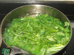 薺菜焯水后冷凍好嗎？薺菜焯水后能放多久？