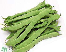 三月份可以種豆角嗎？豆角幾月份種？