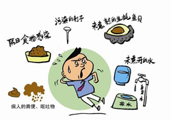 諾如病毒感染要隔離嗎？諾如病毒會(huì)傳染嗎？