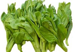 青菜苔可以吃嗎？青菜苔怎么做好吃？
