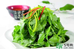薺菜不能和什么一起吃？薺菜和什么相克？