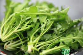 薺菜不能和什么一起吃？薺菜和什么相克？