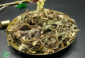 干的蒲公英多少錢一斤？蒲公英多少錢一斤干的？