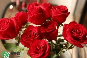 什么東西清火效果好？什么東西清火最快？