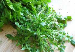薺菜不能和什么一起吃？薺菜和什么相克？