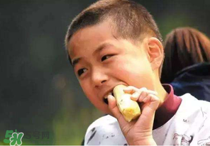 春天能吃甘蔗嗎？春天吃甘蔗有什么好處？
