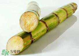 春天能吃甘蔗嗎？春天吃甘蔗有什么好處？