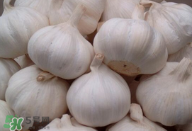 大蒜爛了一點還能吃嗎？大蒜爛根是怎么回事？