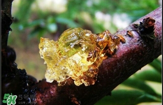 吃什么對(duì)皮膚好？怎么吃皮膚好？