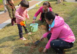 植樹節(jié)一般種什么樹？植樹節(jié)種什么樹比較好？