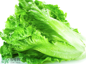 春天能種生菜嗎？生菜春天可以種嗎？