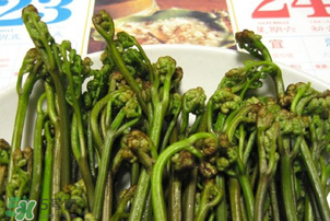 蕨菜為什么苦？蕨菜苦是怎么回事？