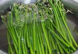 蕨菜怎么洗？蕨菜怎么清洗才干凈？