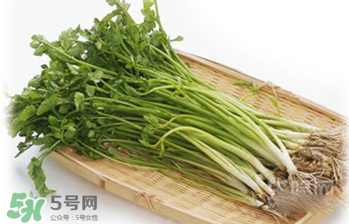 吃野芹菜會(huì)中毒嗎？吃野芹菜中毒了怎么辦？
